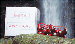 若返り伝説の水 養老の天然水 龍泉の雫 10L×3箱